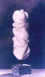 ilrisvegliodeisensi2.jpg (104574 byte)
